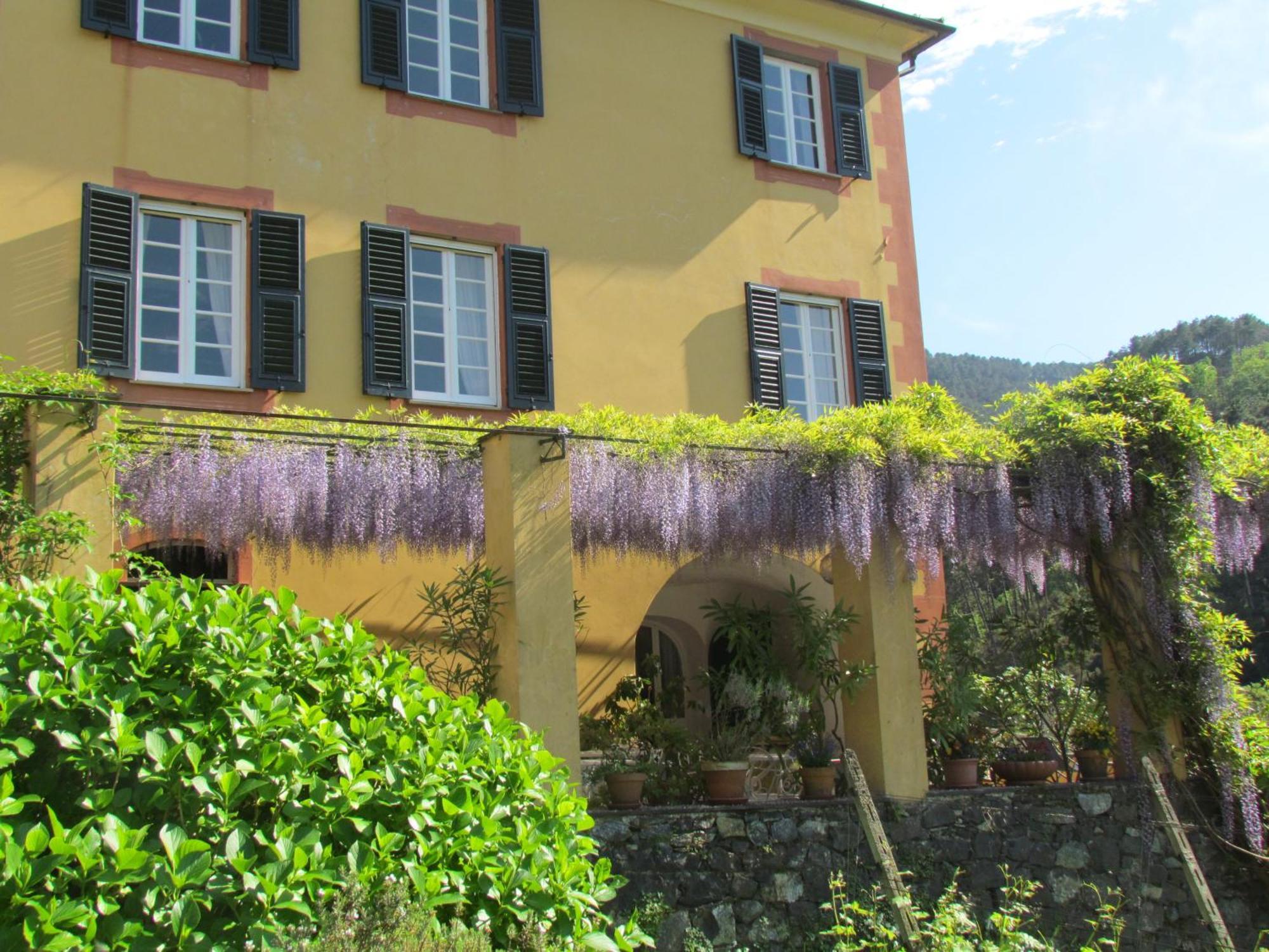 Suite with Countryside View
